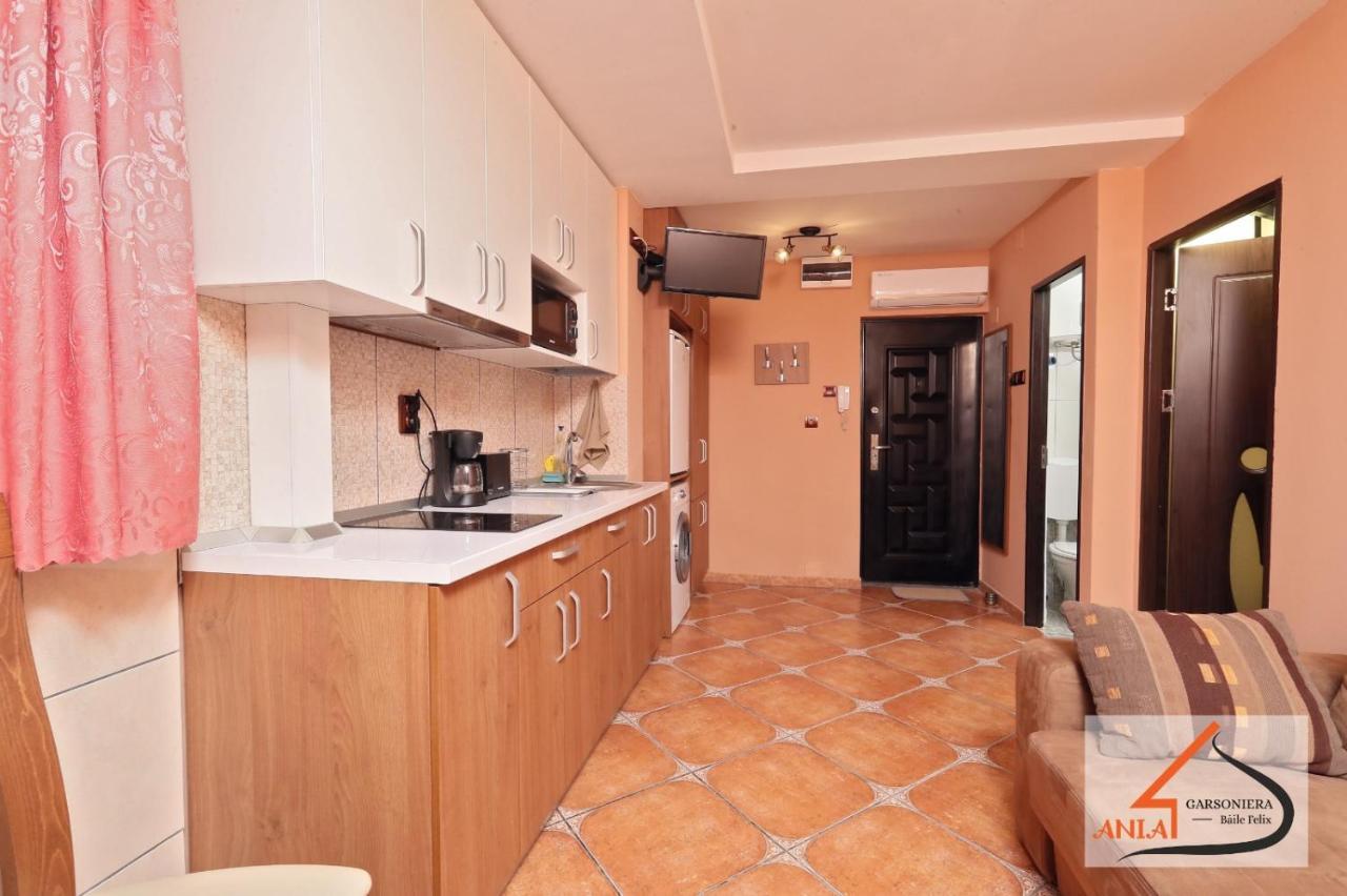 شقة Garsoniera Ania Băile Felix المظهر الخارجي الصورة